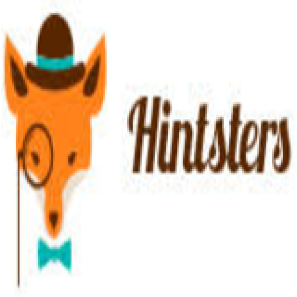 hintsterssurveys logo